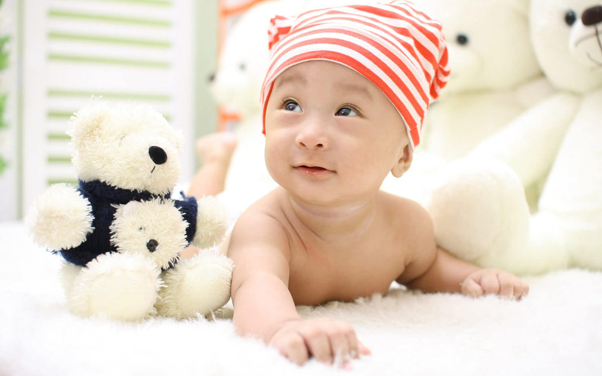 Teddy Bears and soft toys at Baby Planet